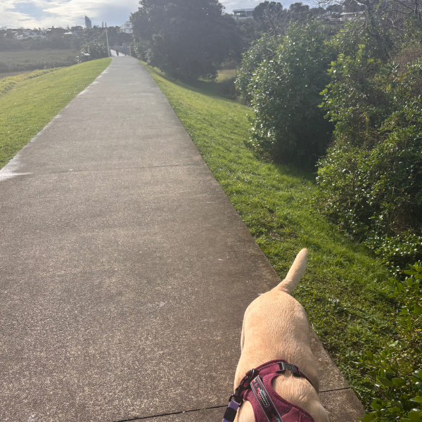 Day 14 The Bayswater Bridge Loop