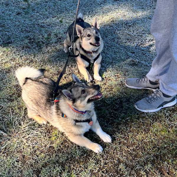 Braving the cold!