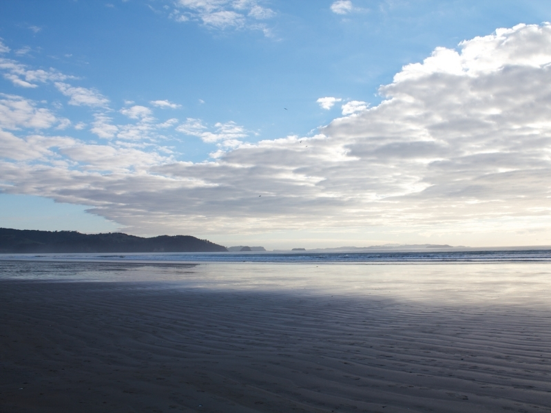 An image of Orewa beach on a sunny day