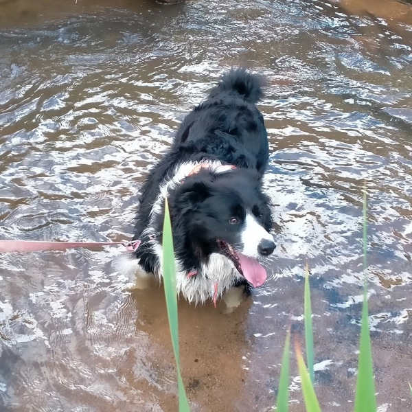 Day 10, a very wet walk💧🌱