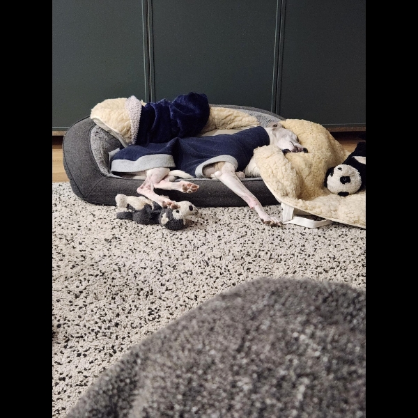 post walk