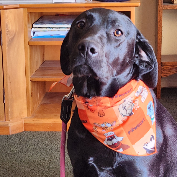 Day 2, pre-walk photo