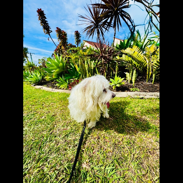 Day 5 Out & About