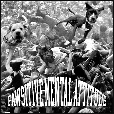 PAWSITIVE MENTAL ATTITUDE